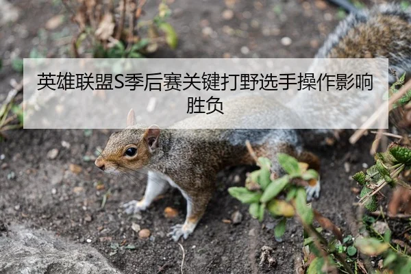 英雄联盟S季后赛关键打野选手操作影响胜负（KaiYun）